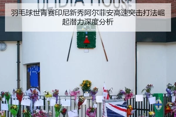 yu-mao-qiu-shi-qing-sai-yin-ni-xin-xiu-a-er-fei-an-gao-su-tu-ji-da-fa-jue-qi-qian-li-shen-du-fen-xi-2-723.jpg
